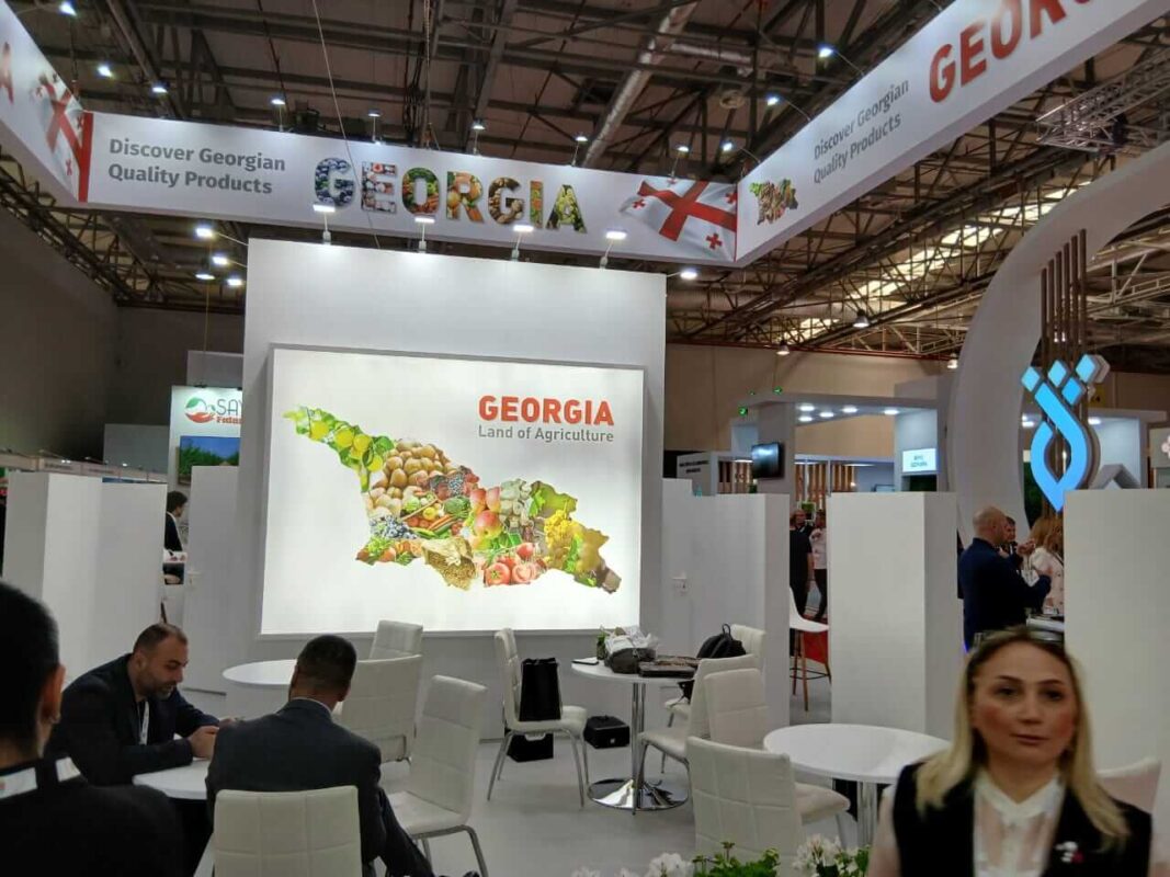 Agro Trade at Caspian Agro 2025 – Amr Mahdy promoting Mahdy Fresh brand and Egyptian sweet potatoes exports