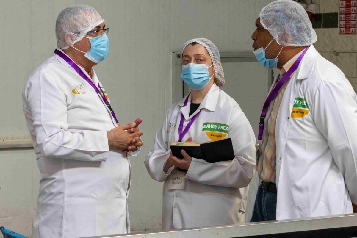 IFS Food Audit supervised by Mohamed Mahdy – CEO of Agro Trade at Thimar Packing House Egypt