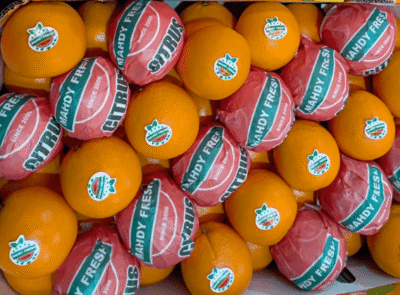 Egyptian Oranges – Agro Trade | Mahdy Fresh | Amr Mahdy exporter of citrus fruits to Europe and Gulf markets