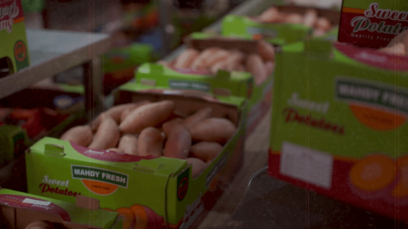 Premium Egyptian sweet potatoes – Agro Trade | Mahdy Fresh | Amr Mahdy exporter of fresh sweet potatoes to Europe and Gulf