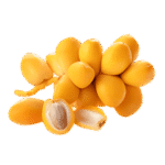 Egyptian Barhi Dates – Agro Trade | Mahdy Fresh | Amr Mahdy premium Egyptian date exporter to Europe and Gulf