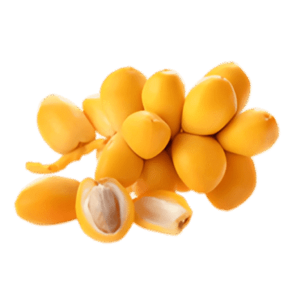 Egyptian Barhi Dates – Agro Trade | Mahdy Fresh | Amr Mahdy premium Egyptian date exporter to Europe and Gulf