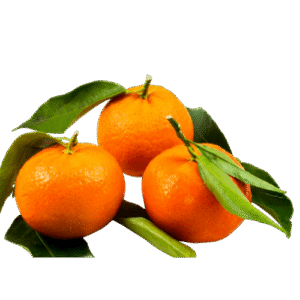 Egyptian mandarin exporter – Agro Trade | Mahdy Fresh | Amr Mahdy citrus export
