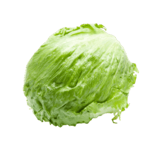 Egyptian iceberg lettuce exporter – Agro Trade | Mahdy Fresh | Amr Mahdy fresh produce export