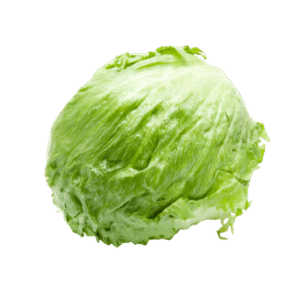 Egyptian iceberg lettuce exporter – Agro Trade | Mahdy Fresh | Amr Mahdy fresh produce export