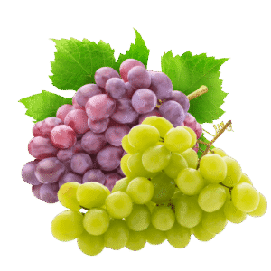 Egyptian grapes exporter – Agro Trade | Mahdy Fresh | Amr Mahdy fresh fruit exports to Europe and Gulf