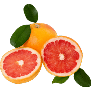 Egyptian grapefruit exporter – Agro Trade | Mahdy Fresh | Amr Mahdy citrus exports to Europe and Gulf