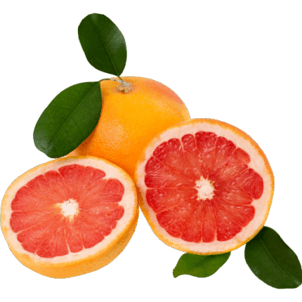 Egyptian grapefruit exporter – Agro Trade | Mahdy Fresh | Amr Mahdy citrus exports to Europe and Gulf