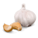 Egyptian garlic exporter – Agro Trade | Mahdy Fresh | Amr Mahdy supplying fresh garlic to Europe and Gulf