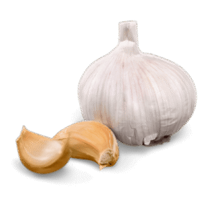 Egyptian garlic exporter – Agro Trade | Mahdy Fresh | Amr Mahdy supplying fresh garlic to Europe and Gulf