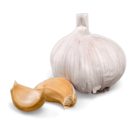 Egyptian garlic exporter – Agro Trade | Mahdy Fresh | Amr Mahdy supplying fresh garlic to Europe and Gulf