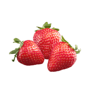 Egyptian strawberries export – Agro Trade | Mahdy Fresh | Amr Mahdy leading exporter of Egyptian strawberries to Europe and Gulf