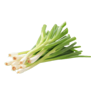 Egyptian Spring Onions – Agro Trade | Mahdy Fresh | Amr Mahdy exporter of fresh onions to Europe and Gulf markets