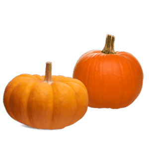 Egyptian pumpkin exporter – Agro Trade | Mahdy Fresh | Amr Mahdy agriculture Egypt