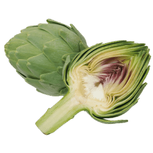 Egyptian artichoke – Agro Trade | Mahdy Fresh | Amr Mahdy exporter of premium fresh artichokes to Europe and Gulf markets
