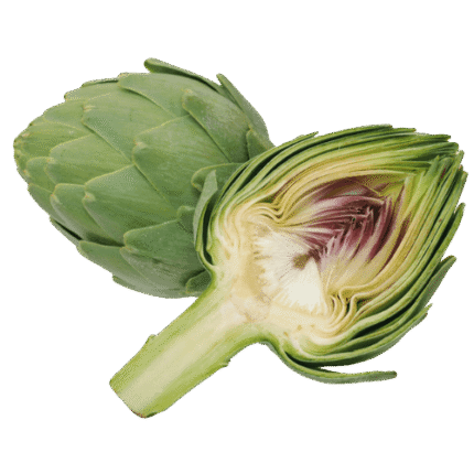Egyptian artichoke – Agro Trade | Mahdy Fresh | Amr Mahdy exporter of premium fresh artichokes to Europe and Gulf markets