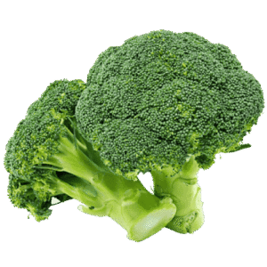 Egyptian broccoli – Agro Trade | Mahdy Fresh | Amr Mahdy exporter of premium Egyptian broccoli to Europe and Gulf