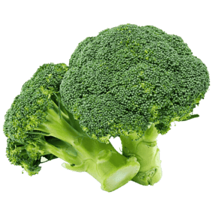 Egyptian broccoli – Agro Trade | Mahdy Fresh | Amr Mahdy exporter of premium Egyptian broccoli to Europe and Gulf