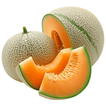 Egyptian cantaloupe – Agro Trade | Mahdy Fresh | Amr Mahdy exporter of premium Egyptian melons to Europe and Gulf