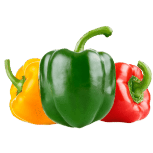 Egyptian bell peppers – Agro Trade | Mahdy Fresh | Amr Mahdy exporter of colored capsicum to Europe and Gulf markets