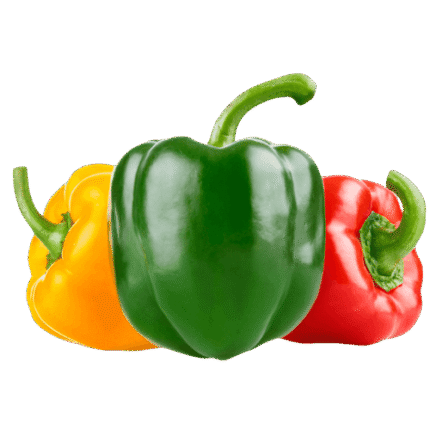 Egyptian bell peppers – Agro Trade | Mahdy Fresh | Amr Mahdy exporter of colored capsicum to Europe and Gulf markets