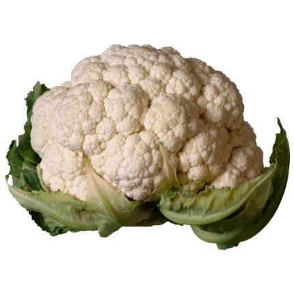 Cauliflower Egypt – Agro Trade | Mahdy Fresh | Amr Mahdy exporter of Egyptian cauliflower to Europe, Gulf, and Africa