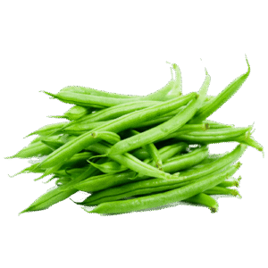 Egyptian green beans exporter – Agro Trade | Mahdy Fresh | Amr Mahdy premium beans supply to Europe, Gulf, and Asia