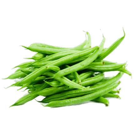 Egyptian green beans exporter – Agro Trade | Mahdy Fresh | Amr Mahdy premium beans supply to Europe, Gulf, and Asia