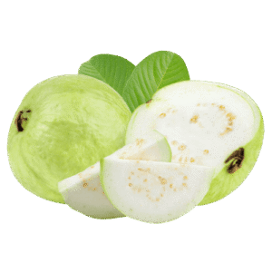 Egyptian guava exporter – Agro Trade | Mahdy Fresh | Amr Mahdy premium guava supply to Europe, Gulf, and Asia