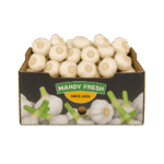 Egyptian garlic export – Agro Trade | Mahdy Fresh | Amr Mahdy leading garlic supplier from Egypt