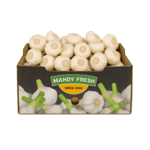 Egyptian garlic export – Agro Trade | Mahdy Fresh | Amr Mahdy leading garlic supplier from Egypt