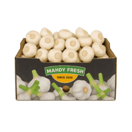 Egyptian garlic export – Agro Trade | Mahdy Fresh | Amr Mahdy leading garlic supplier from Egypt