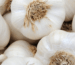 Egyptian garlic export by Agro Trade | Mahdy Fresh premium garlic – Amr Mahdy trusted supplier of Egyptian vegetables.