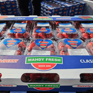 Egyptian strawberries export by Agro Trade | Mahdy Fresh premium strawberries – Amr Mahdy certified fruits for global markets.