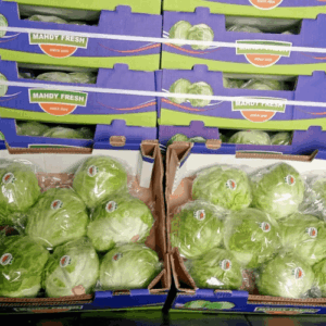 Egyptian iceberg lettuce export by Agro Trade | Mahdy Fresh certified vegetables – export-grade lettuce packed for global markets under Amr Mahdy.