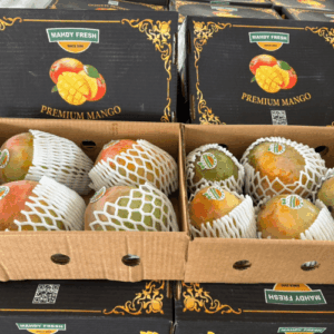 Egyptian mango export by Agro Trade | Mahdy Fresh Premium Mango – export-grade Egyptian mangoes packed for global markets under the leadership of Amr Mahdy.