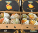 Egyptian mango export by Agro Trade | Mahdy Fresh Premium Mango – export-grade Egyptian mangoes packed for global markets under the leadership of Amr Mahdy.