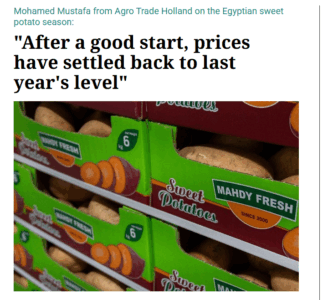 Mahdy Fresh Egyptian sweet potatoes packed for export by Agro Trade – GLOBALG.A.P certified exporter Egypt.