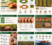 Mahdy Fresh sweet potato Egypt packaging export Agro Trade