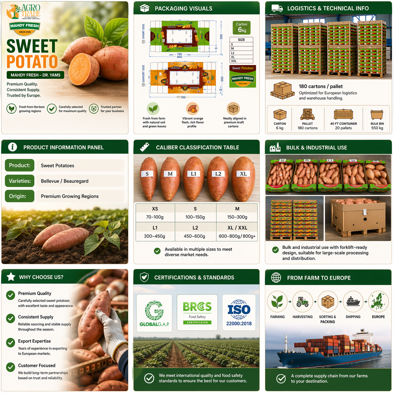 Mahdy Fresh sweet potato Egypt packaging export Agro Trade