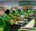 Egyptian sweet potatoes export by Agro Trade